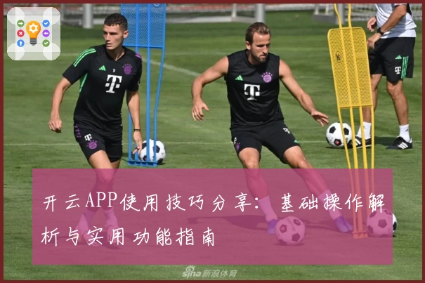开云APP使用技巧分享：基础操作解析与实用功能指南